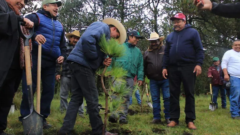 Reforestación  (2)